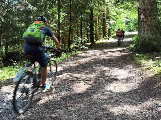 Schwarzwald Stadtradeln Abfahrt 2021