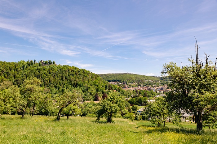 Schwarzwald Blog Natouren Blick auf Nagold