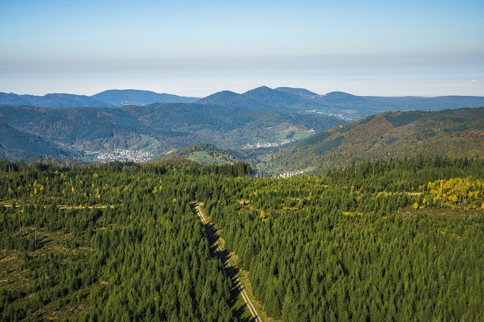 Schwarzwald Urlaub Blog Thomas Bertsch Kaltenbronn