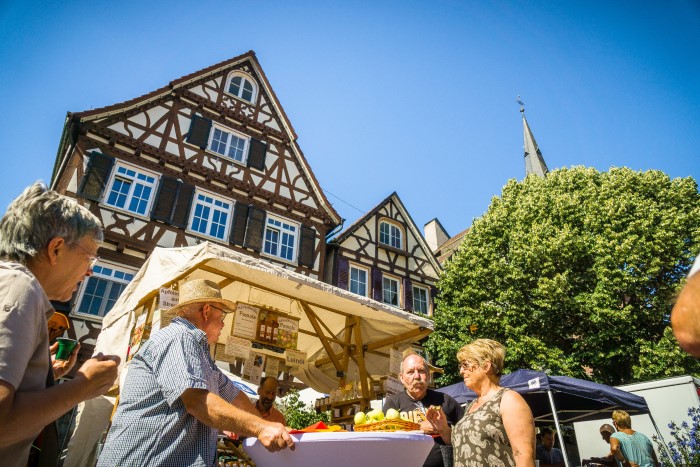 Schwarzwald Urlaub Kleinstadtperle Calw Wochenmarkt