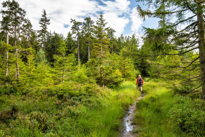 Schwarzwald Blog Alex Kijak Fotograf Mittelweg